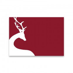 feuilles de papier cartonn&eacute; A4 Rouge Fonc&eacute; 270 gr/m&sup2;