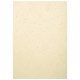 Dos de Couverture Grain cuir A4