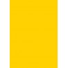 Papier cartonné A4 Jaune banane 270 gr/m²