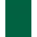 Papier cartonné A4 Vert Sapin 270 gr/m²