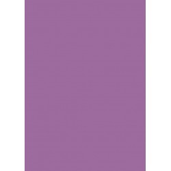 Papier cartonné A4 Lilas 300 gr/m² 
