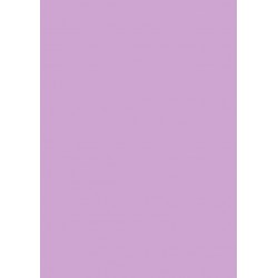 Papier cartonné A4 Violet 300 gr/m² 