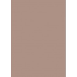 Papier cartonné A4 Cappuccino 300 gr/m² 