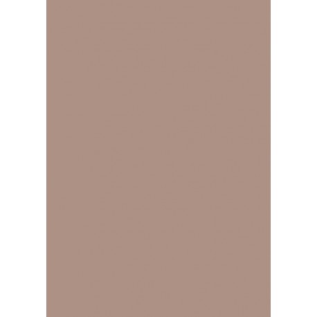 Papier cartonné A4 Cappuccino 300 gr/m² 