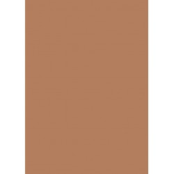 Papier cartonné A4 Marron chevreuil 300 gr/m² 