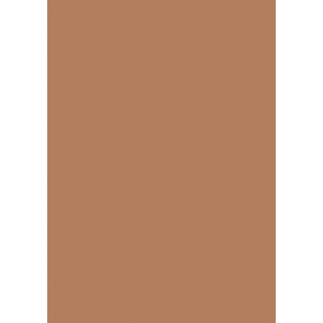 Papier cartonné A4 Marron chevreuil 300 gr/m² 