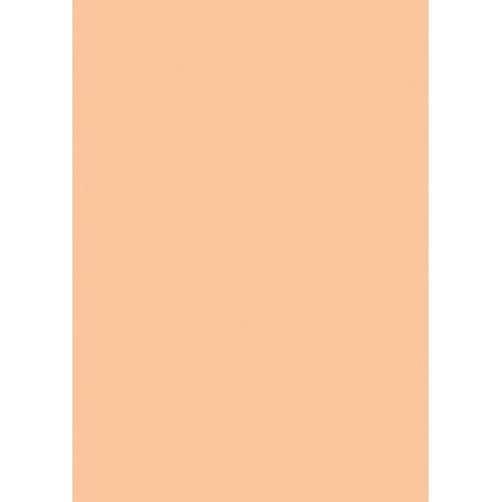 feuilles de papier cartonné A4 Chamois 270 gr/m²