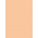 Papier cartonné A4 Chamois 270 gr/m²