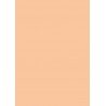 Papier cartonné A4 Chamois 270 gr/m²