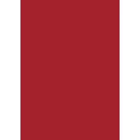 feuilles de papier cartonné A4 Rouge Foncé 270 gr/m²