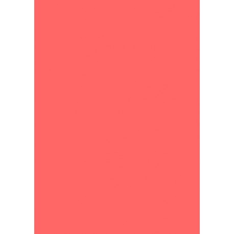 Papier cartonné A4 Corail 300 gr/m² 