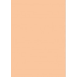 Feuilles de papier cartonn&eacute; A5 Chamois 300 gr/m&sup2;