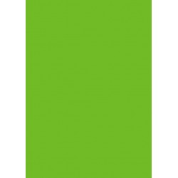 Papier cartonn&eacute; A5 Vert mai 300 gr/m&sup2; 