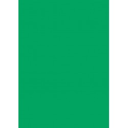 Papier cartonn&eacute; A5 Vert Emeraude 300 gr/m&sup2; 