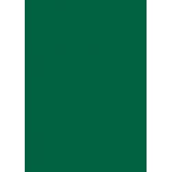 Papier cartonn&eacute; A5 Vert sapin 300 gr/m&sup2; 