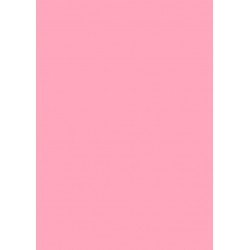 Papier cartonn&eacute; A5 Rose 300 gr/m&sup2; 