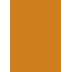 Papier cartonn&eacute; A5 Terre cuite 300 gr/m&sup2; 