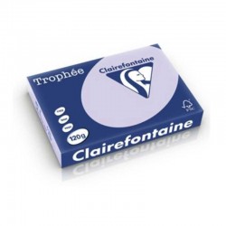 250 feuilles de papier A4 troph&eacute;e 120 gr/m&sup2; de Clairefontaine - Gris perle