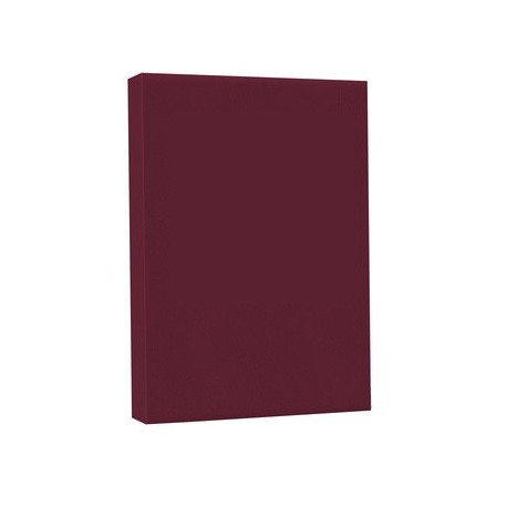 100 Dos de Couverture Grain cuir A4 